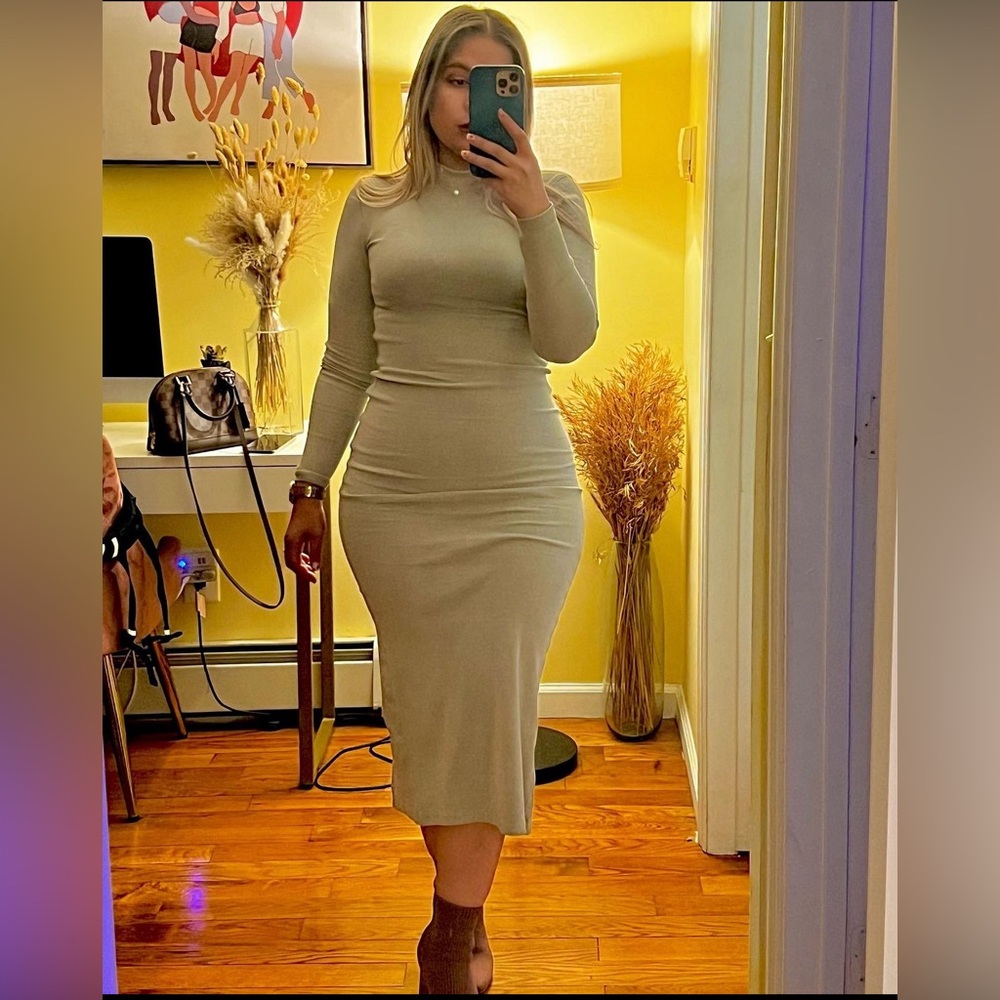 Zara Bodycon Mockneck Taupe Midi Long sleeve  Dress